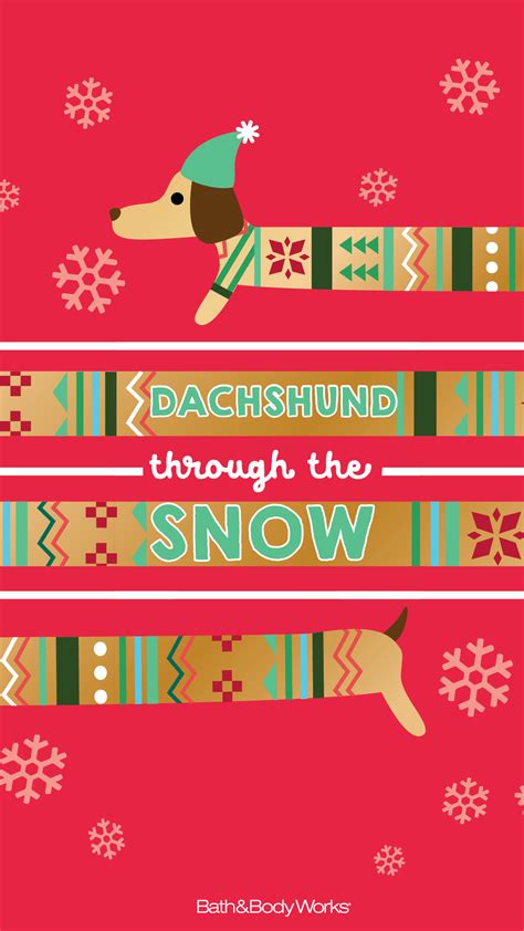 Dachshund Christmas Wallpapers Top Free Dachshund Christmas