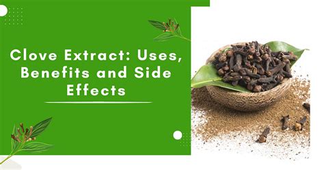 Clove Extract: Uses, Benefits and Side Effects