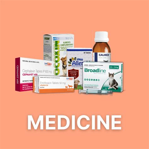 allergy medicine for cats