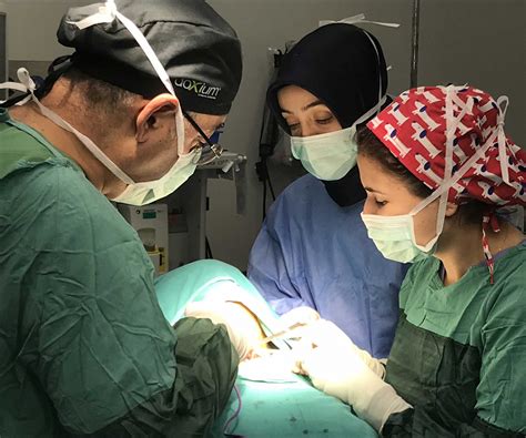 Anal B Lge Hastal Klar Proktoloji Prof Dr Mustafa Uygar Kalayc