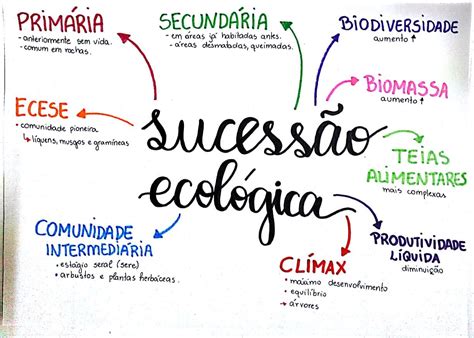 Sucessão Ecológica Mapa Mental - Mapa Mental de Ecologia : Sucessão Ecológica | Sucessão ecológica, Enem ...