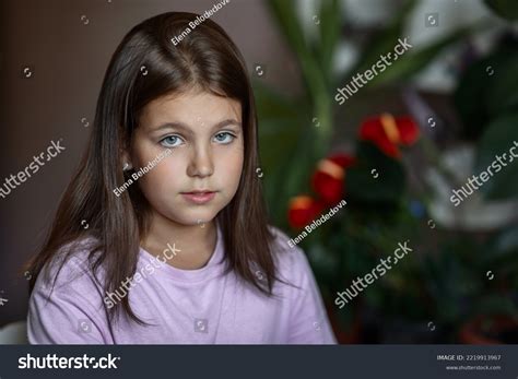 Portrait Beautiful European Brunette Girl Stock Photo Shutterstock
