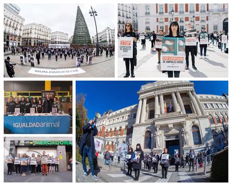 ¿Estarás con nosotros en las calles? | Igualdad Animal