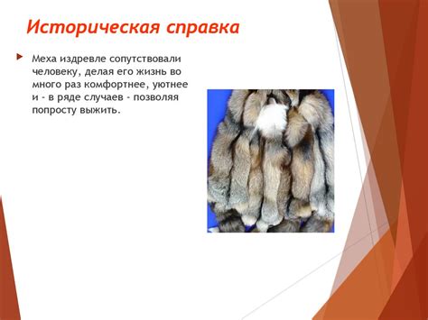Пушно-меховые товары - презентация онлайн