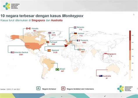 Kemenkes Kasus Cacar Monyet Belum Ditemukan Di Indonesia