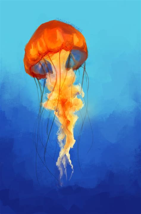 Jellyfish By MusicalCombusken On DeviantART In 2022 Jellyfish