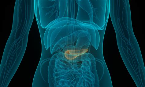 How To Check Your Pancreas Warexamination15