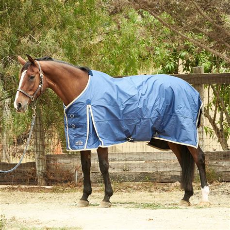 how to measure a horse 8