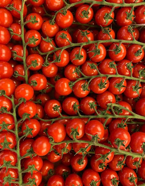 When to Buy Organic Food, According to a Dietitian – Jones Road