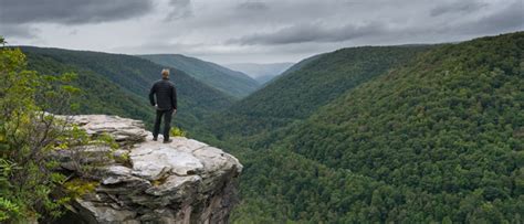 West Virginia Tax Division