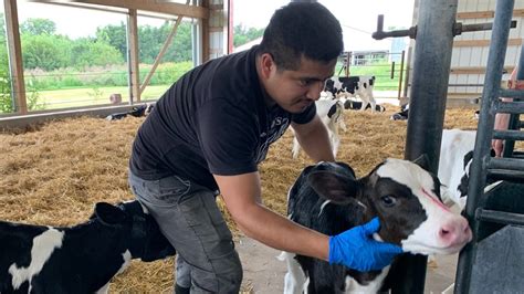 Indiana farmers say immigration reform key to lower food prices | wthr.com