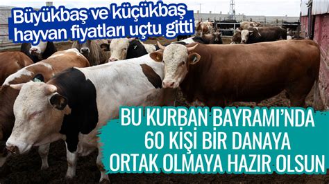 Bu Kurban Bayram Nda Ki I Bir Danaya Ortak Olmaya Haz R Olsun