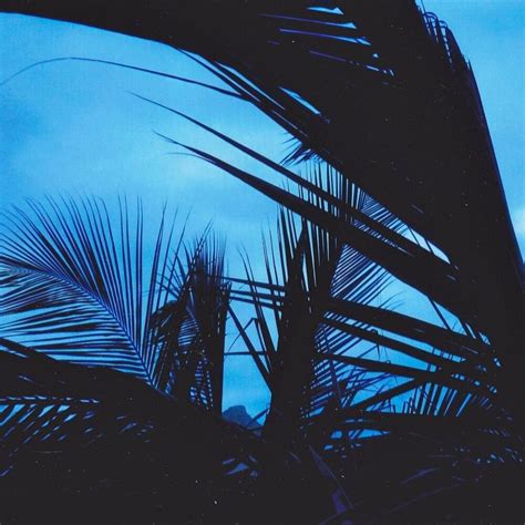 C d v R Lyrics, Songs, and Albums | Genius