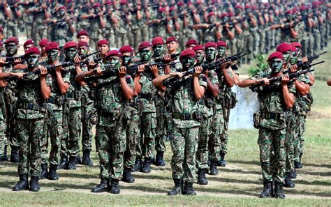 tugas  peranan tentera darat historyploaty