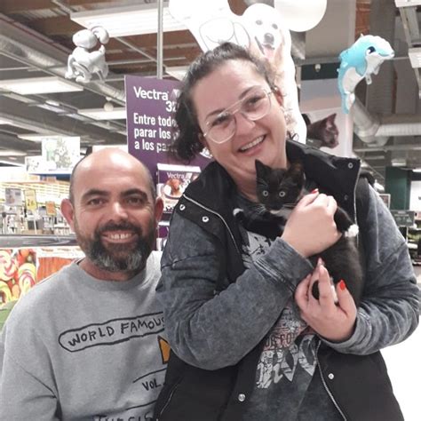 Jiji Adopted Complete News