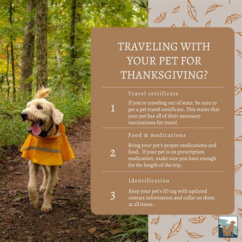 fish creek animal hospital 5