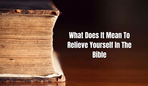 What Does The Bible Say About Sex Toys Biblical Insights On Sex Toys What Bible Saying