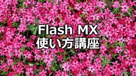 Macromedia Adobe Flash Mxの使い方 アニメーションの基本 Youtube