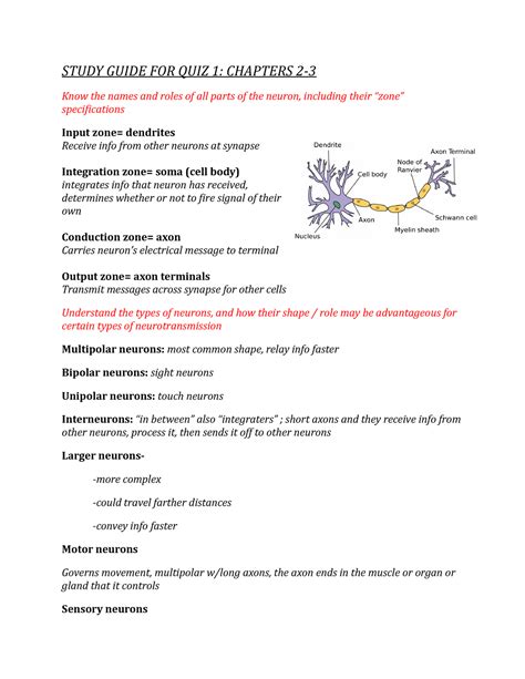 Multipolar Neuron Input Zones