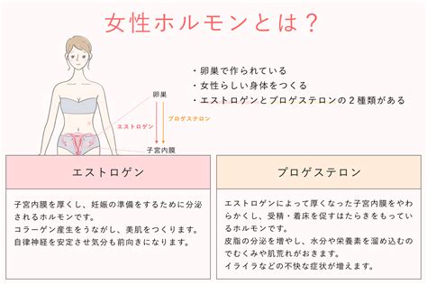 美と健康の鍵「女性ホルモン」