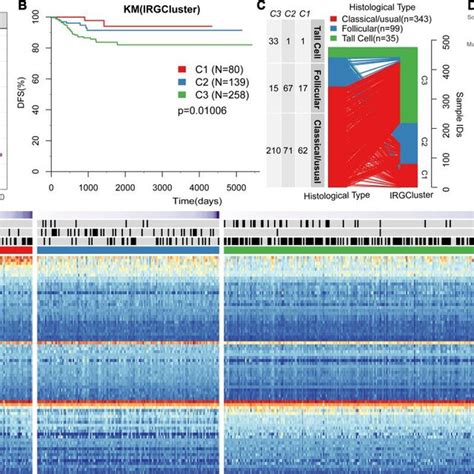 Irgs Based Thca Immunophenotyping A The Interaction Correlation Download Scientific Diagram