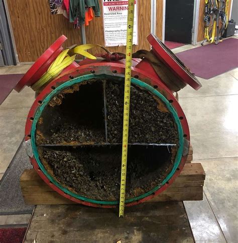 Zebra mussels were first discovered at the Gavins Point - NARA & DVIDS