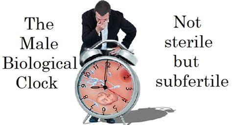 The Male Biological Clock Okilab