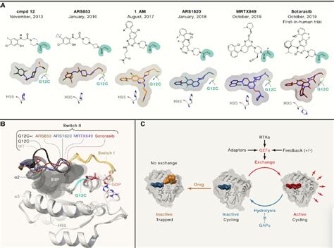 The 2nd Kras Inhibitor Is Approved Adagrasib