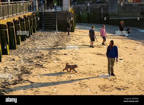 A Man Walks His Dog On A Sandy Beach On Teh River Thames In Central