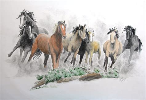 mustang animal 8
