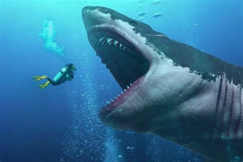 Top Phim C M P Si U Kinh D Gay C N V M Nh Nh T