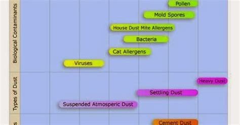 What Are Particulate Matter 25 Pollutants