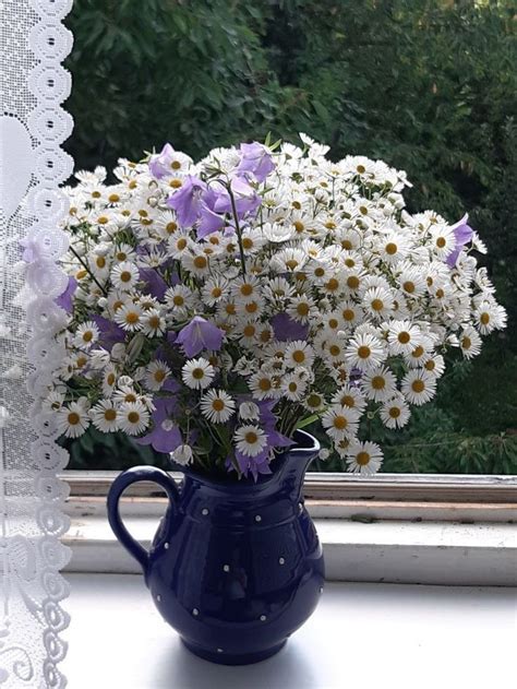 Flower | Букет цветов, Ромашки, Красивые цветы