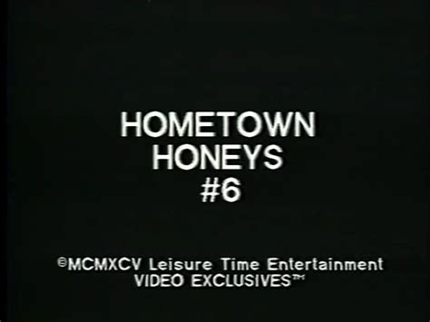 Hometown Honeys 6 Ron Jeremy Leisure Time Entertainment 1995 All Sex VHSRip Torrent De