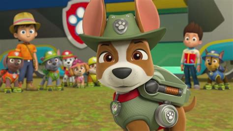Quem são os personagens da Patrulha Canina?