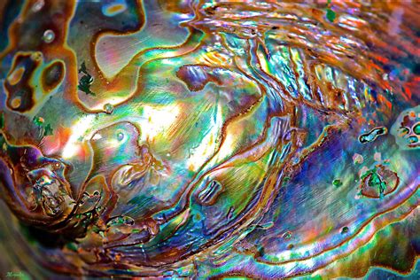 nacre  fallout  deviantart