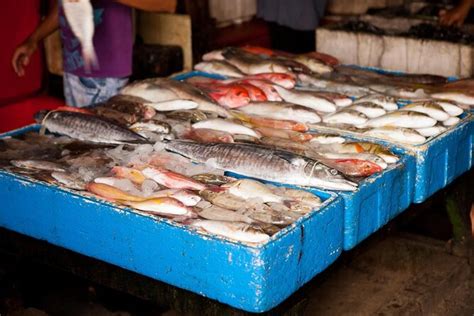 Jimbaran Fish Market Pasar Ikan Tradisional Kedonganan Bali