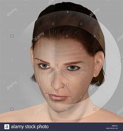 Vector Illustration Elderly People Silhouettes Stock Photos And Vector