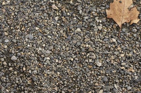 information « Walking in Seattle