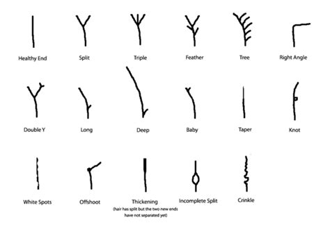 how to tell if its hair growth or breakage