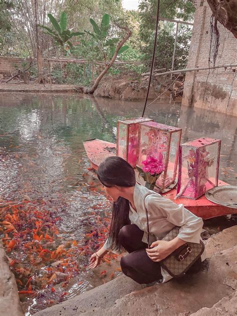 Th I L C A V Ch Ng H Ng Ng Khi B Hot Girl Hoa R I C A Ph T R O T N Y N Cho Gia