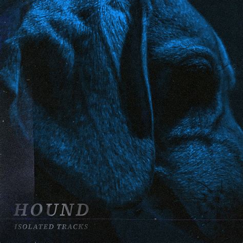 Hound (Isolated Tracks) | To Bloom