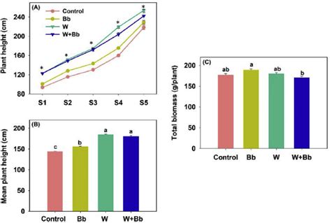 Effects Of Beauveria Bassiana Bb And Elevated Air Temperature W On Download Scientific