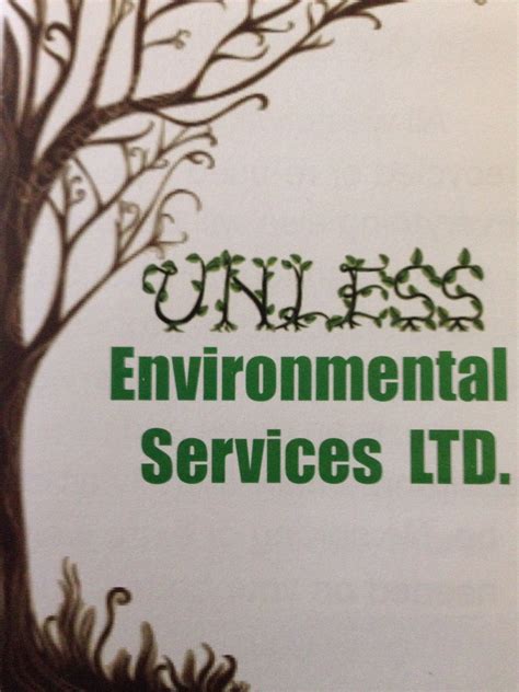 Unless Environmental Services Ltd