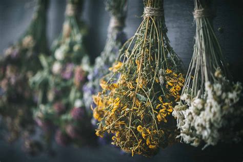 How To Dry Fresh Garden Herbs Gardener’s Path