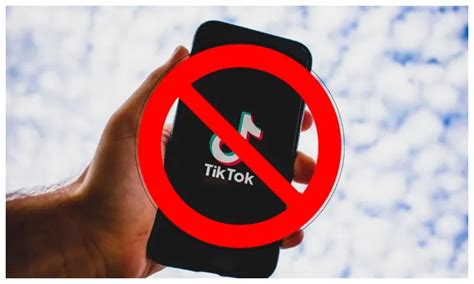 Vicepreședintele ANCOM TikTok este o problemă de siguranță națională