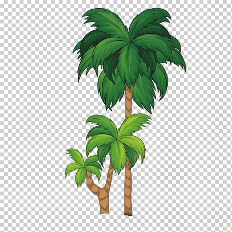 Arecaceae árbol ilustración árbol de coco libre plantilla de diseño