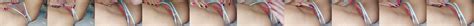 Mature Cunnilingus Xhamster
