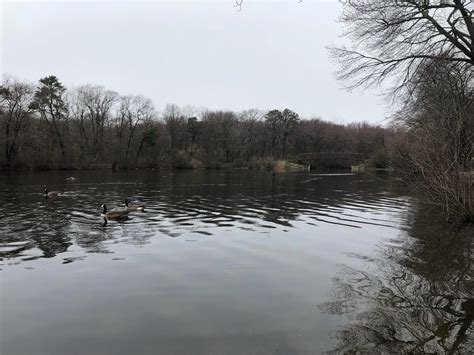 This is what life is like in massapequa 11