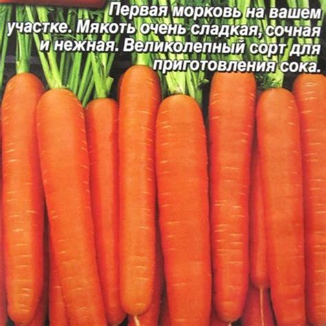 Купить семена Морковь Сахарный пальчик в магазине Первые Семена по цене ...